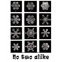 Wilson Bentley's Snowflakes, 1902 t-shirts by harlowandcompany Wilson Bentley's Snowflakes, 1902 t-shirts