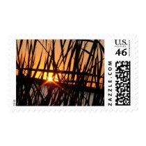 WILSON LAKE SUNSET postage