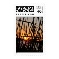 WILSON LAKE SUNSET postage