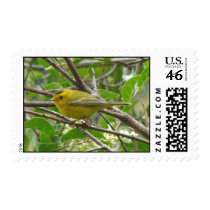 Wilson's Warbler 1 stamp
