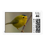 Wilson's Warbler Postage