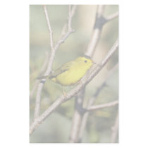 Wilson's Warbler stationery by animalpark Wilson's Warbler stationery