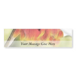 Wilted Blanket Flower Bumper Stickers