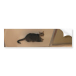 Wimpy Bumper Sticker