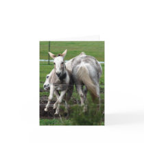 Winchester & Bucky play note card