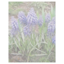 Wind Blown Grape Hyacinths Letterhead