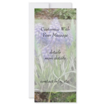Wind Blown Grape Hyacinths Rack Cards