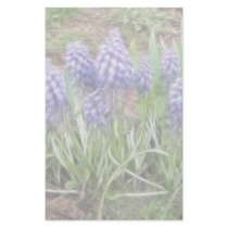 Wind Blown Grape Hyacinths Customized Stationery