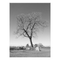 Wind blown photo art