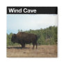 Wind Cave NP Refrigerator Magnet
