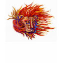 Lion du Vent-Feu t-shirts