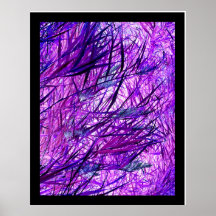 Wind Print