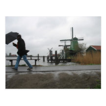 Wind & Rain at Zaanse Schans Windmills Postcard