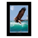WIND SURFING Bald Eagle Art Poster posters by RavenSpiritPrints WIND SURFING Bald Eagle Art Poster posters