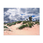 Wind Swept Sand Dunes Postcards