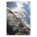 WIND WHISPERS cards by wendybandurskimiller WIND WHISPERS cards