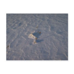Windblown patterns in snow post card