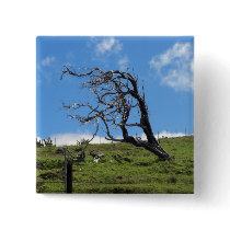 Windblown Tree Buttons