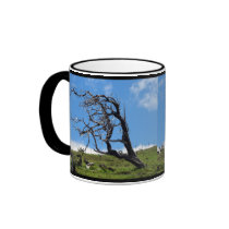 Windblown Tree Mugs