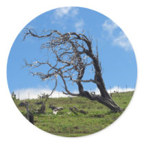 Windblown Tree Stickers