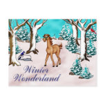 Winder Wonderland Postcard