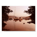 Windermere At Dawn posters