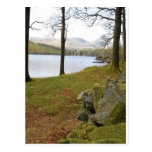 Windermere Lake In Lake District Postcards