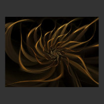 Windflower posters by dduhaime55 Windflower posters
