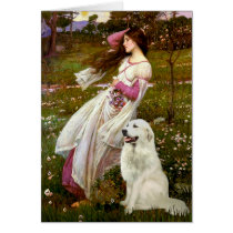 Windflowers - Great Pryenees 1 Cards