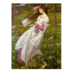 Windflowers Postcard