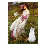 Windflowers - White cat Cards