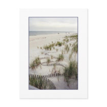 'Winding Fence with Grass Dunes' Postcard