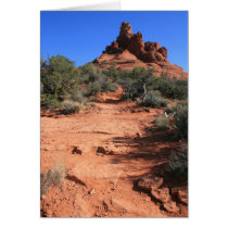 Winding Path Greeting Cards