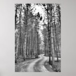 Winding Path posters