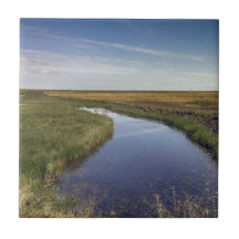 Winding River By The Coast Ceramic Tiles