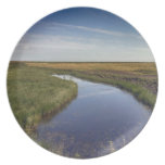 Winding River By The Coast Plates