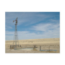 Windmill and cattle under western Kansas Skies postcards