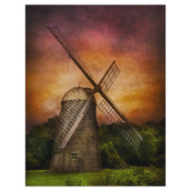 Windmill Full Color Flyer