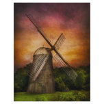 Windmill Full Color Flyer