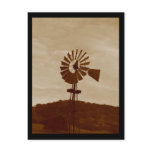 Windmill Postcard