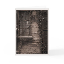 Window #2 cards