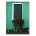 Window box of Impatients cards