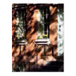 Window Boxes Greenwich Village Post Cards