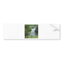 Window Bumper Sticker
