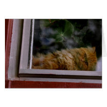 window Cat Greeting Cards