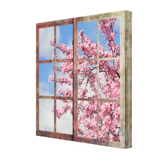 Window Cherry Blossom Tree Canvas Print