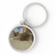Window dressing key chains