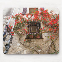 Window Flowers mousepads by moonrisings Window Flowers mousepads