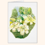 Window Into Summer watercolor art greeting card cards