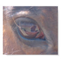 window into the soul posters